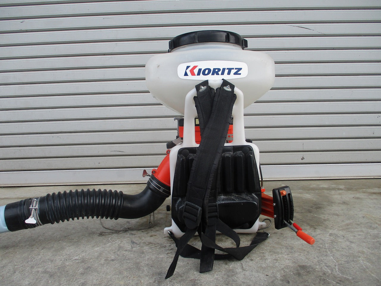 IMG_1779.jpg?v=1712112592