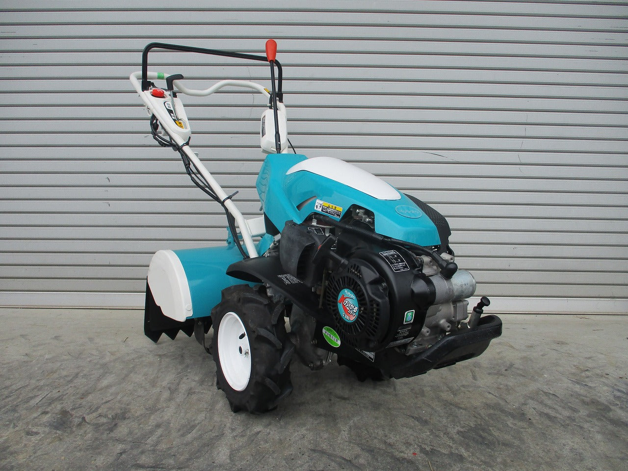 IMG_5219.jpg?v=1695469851