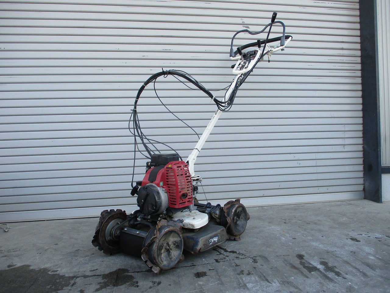 IMG_8931.jpg?v=1703748721