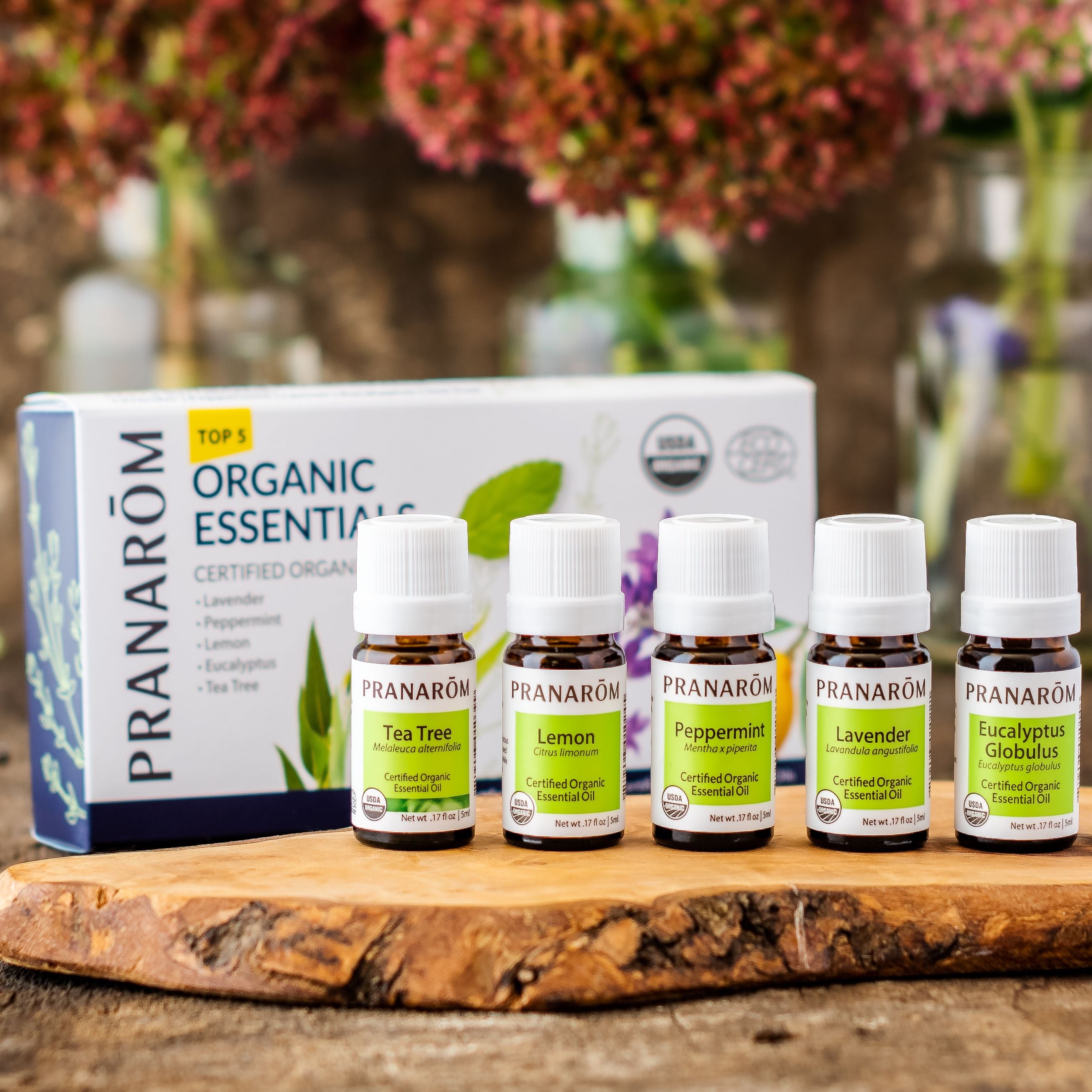 top5lifestyle.jpg?v=1702593735