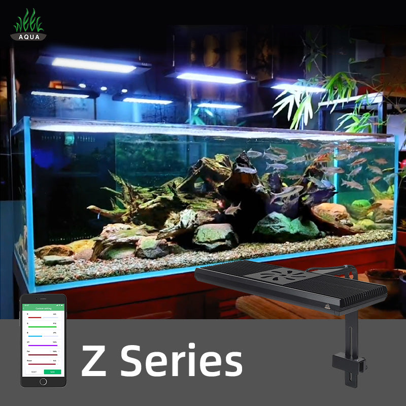 WEEK AQUA Z Series – Cherries Nature Aquarium