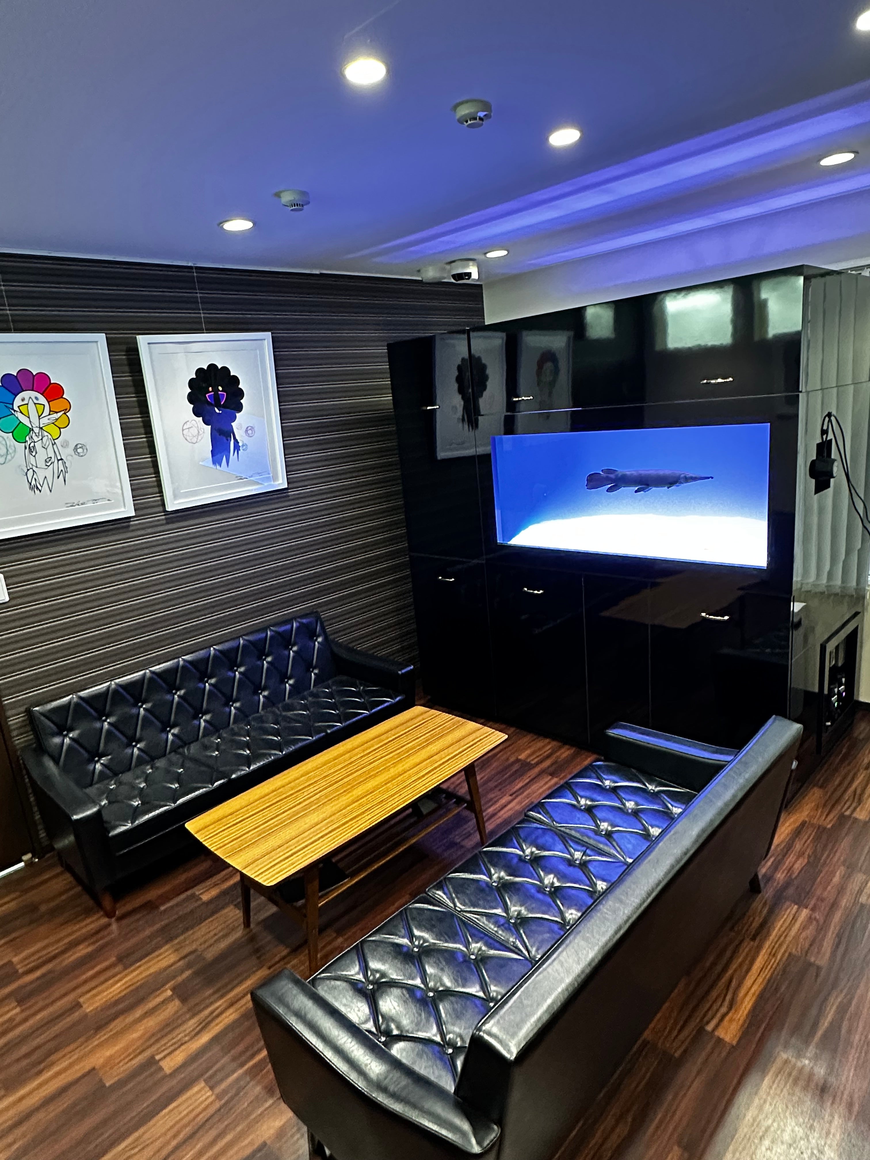 image.jpg?v=1756887204