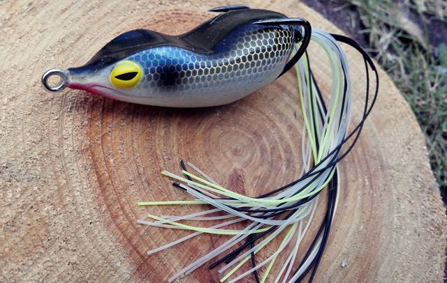 D] 「オープンウォーター・フロッギング」で、180°変わった