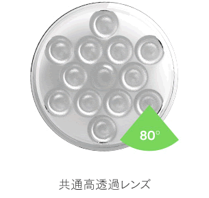 HYDRA | 生麦海水魚センター別館