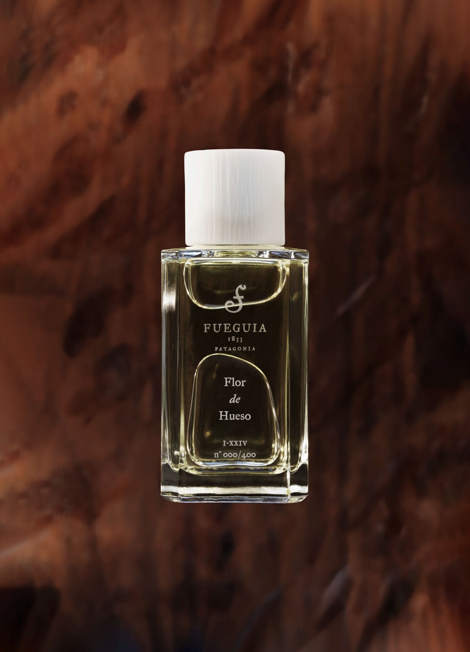 FUEGUIA 1833 | Flor de Hueso｜フロール デ ウエソ – FUEGUIA 1833