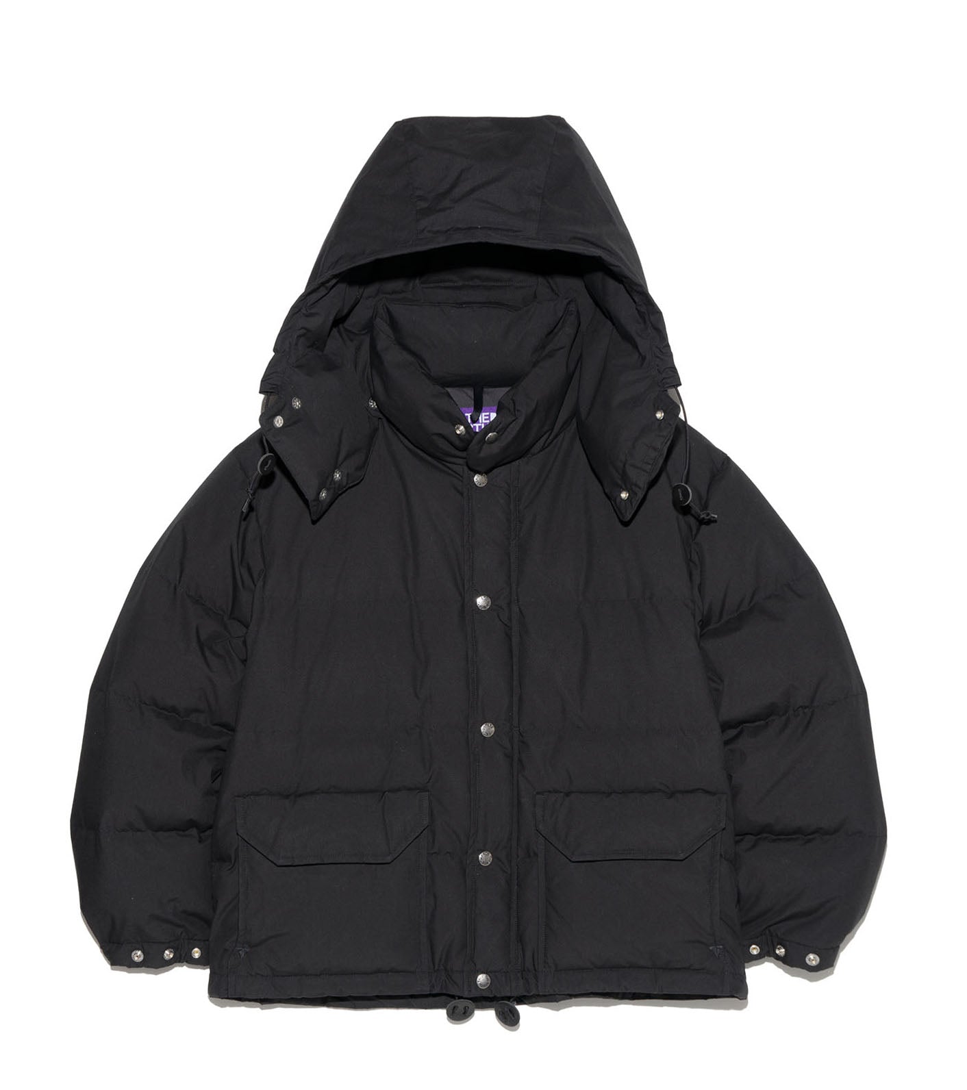 THE NORTH FACE PURPLE LABEL 65/35 Sierra Parka – Friday
