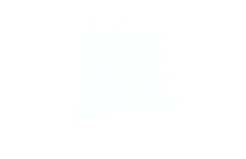 CHIAROSCURO特設ページ : AcuticNotes