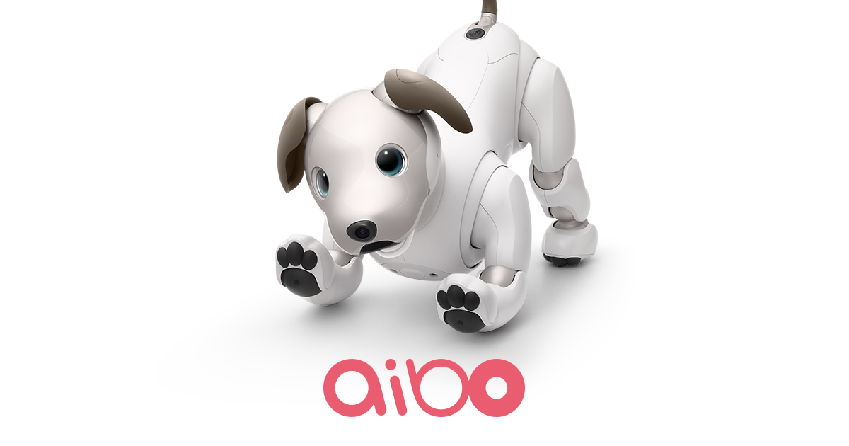 aibo エスプレッソ エディション | aibo