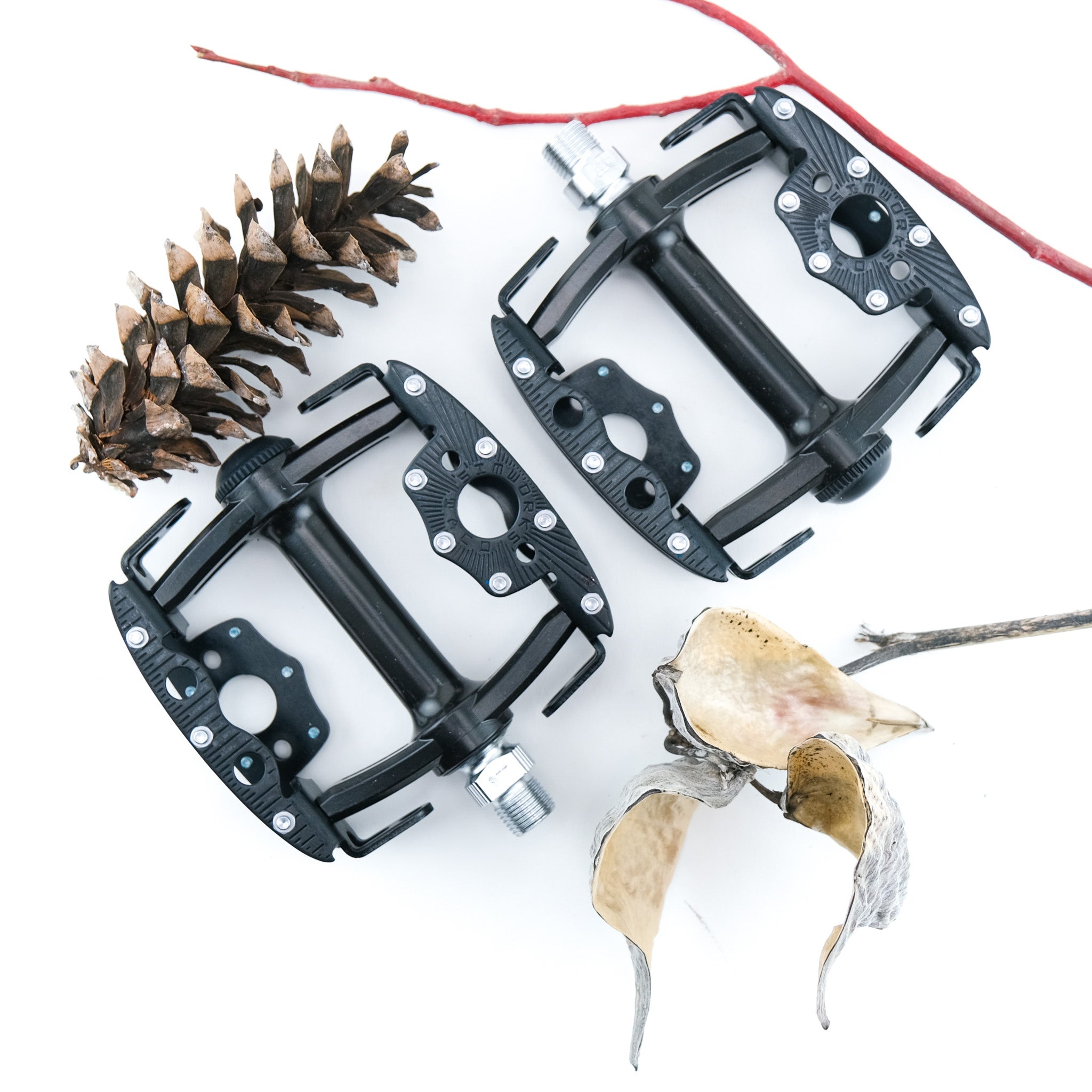 DSCF1335.jpg?v=1750099379