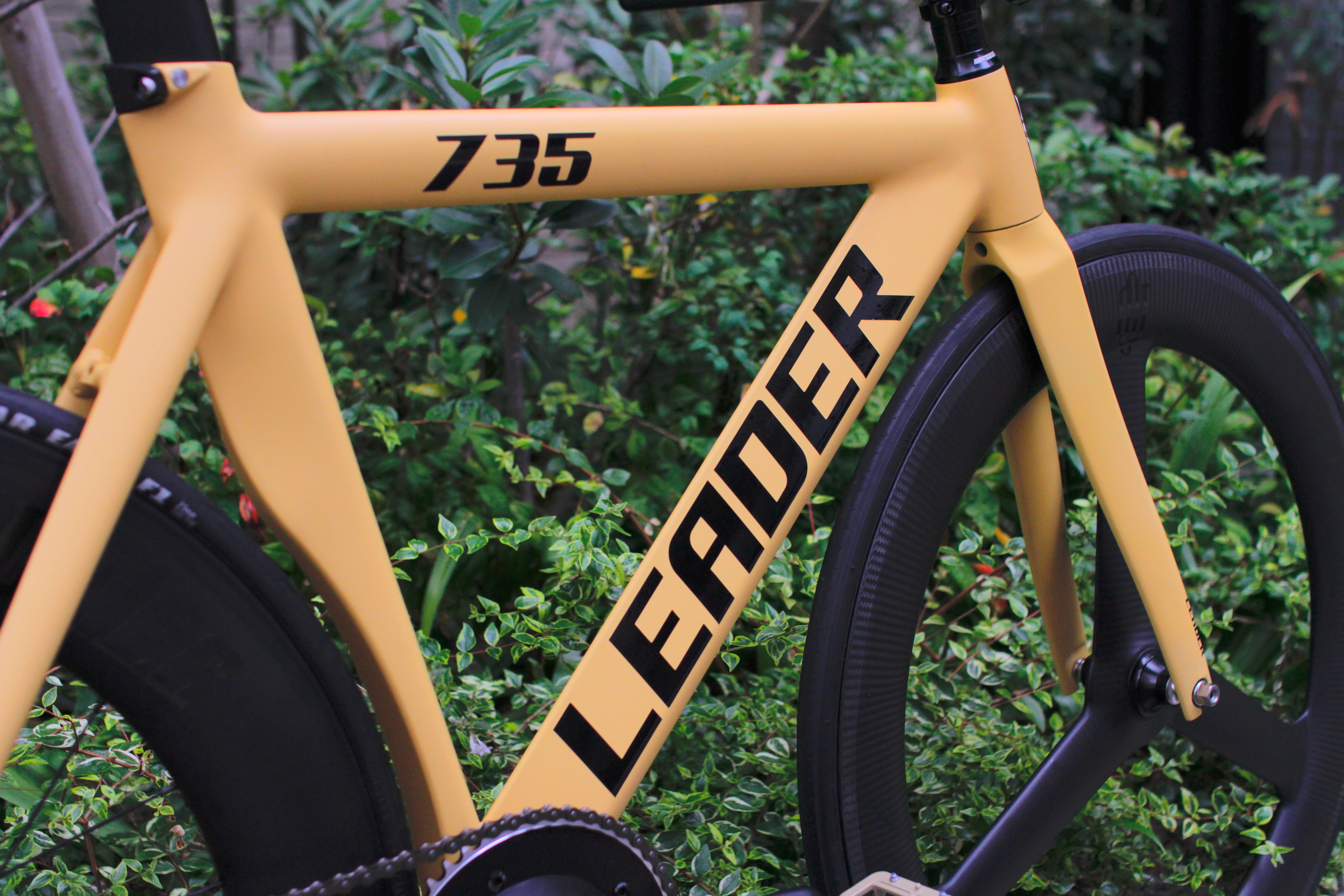 MG_8142.jpg?v=1705204884