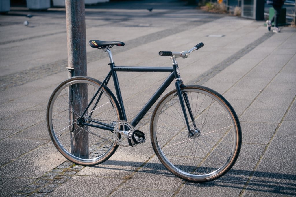 NKS02904-4214977.jpg?v=1759566411