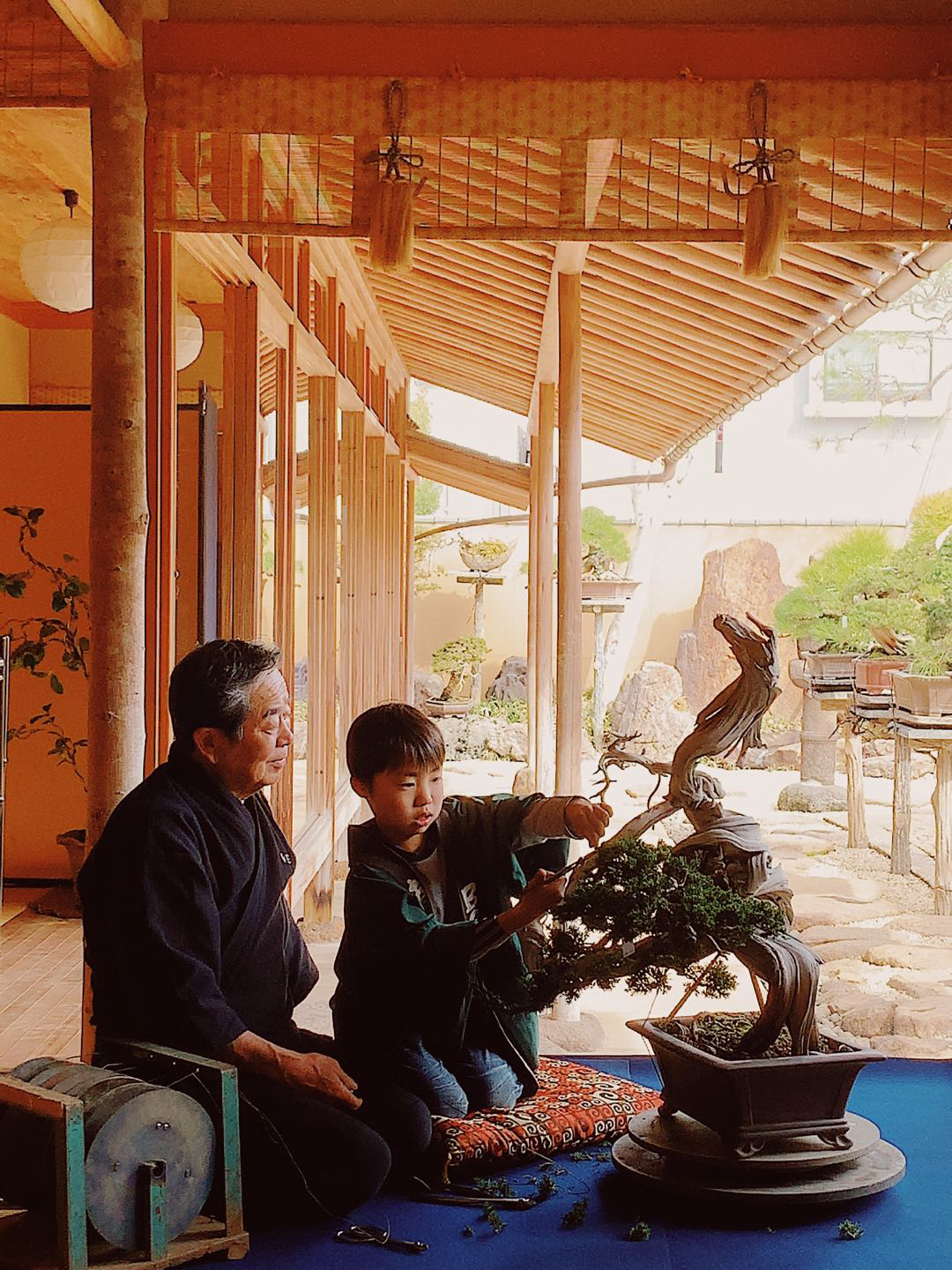 春花園BONSAI美術館を訪ねて – 上品倶楽部