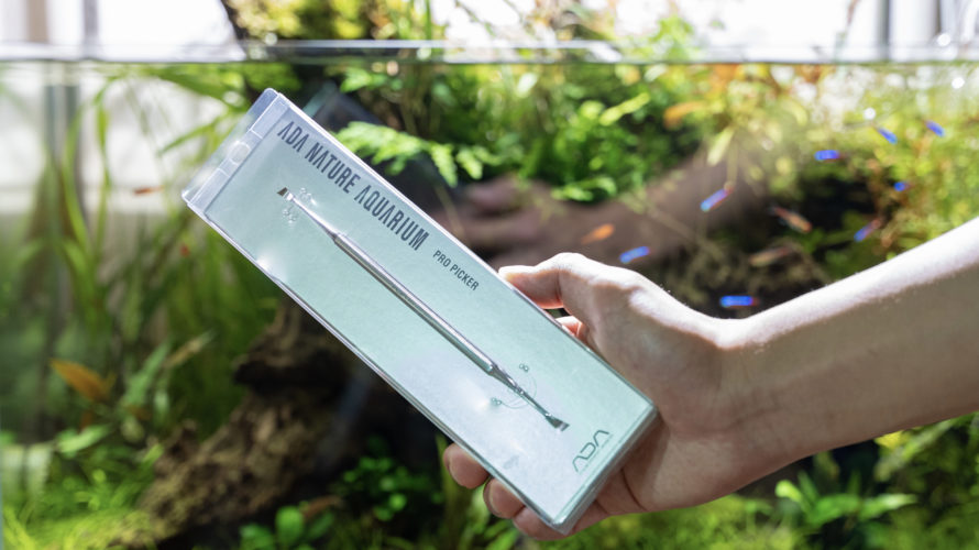 DOOA ネオグラス テラ H36 侘び草ウォール60 長期レビュー! - The