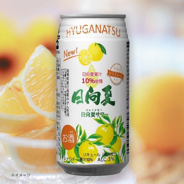 日向夏 ニューサマーオレンジ 5年生 苗木 ドット様専用 日向夏 ニュー