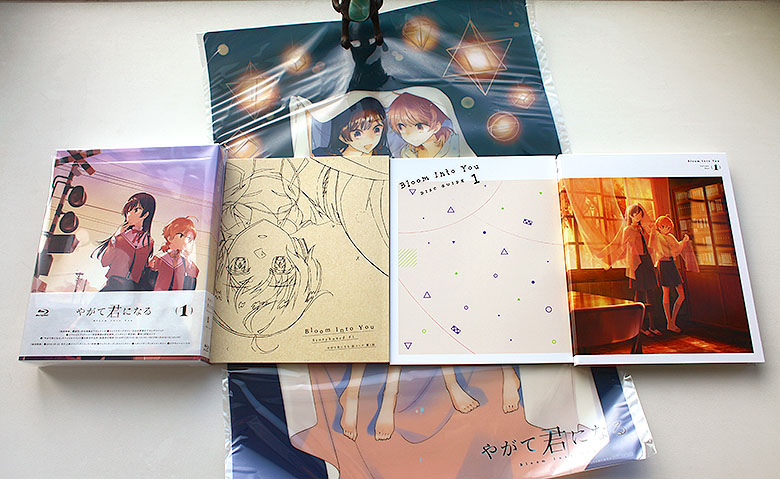 やがて君になる やがて君になる ブロマイド イラストカード 特典 4枚