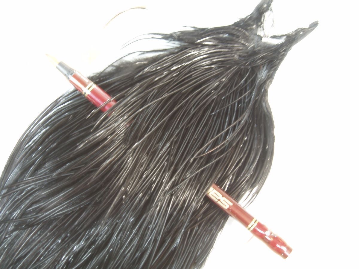 ルアーとフライ用品の専門店 ケンモチ ハックルケープ在庫表