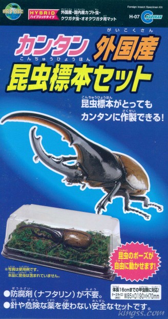 マルカンのカンタン外国産昆虫標本セット販売-ヘラクレスやコーカサス