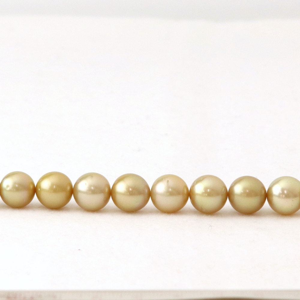 白蝶ゴールデンパールネックレス【大きさ8.2-10.9mm・長さ44cm】＜204