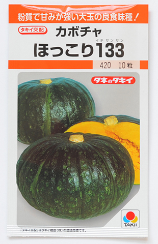 かぼちゃ【ほっこり133】 CulDyna農園
