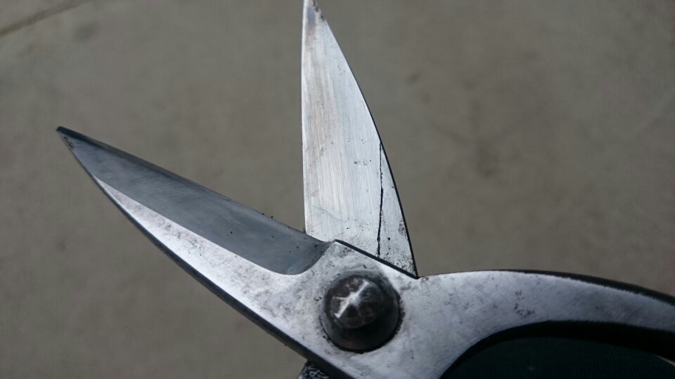 三条 本成寺昇 | 庭師記 ー 庭は師、業は己 ー