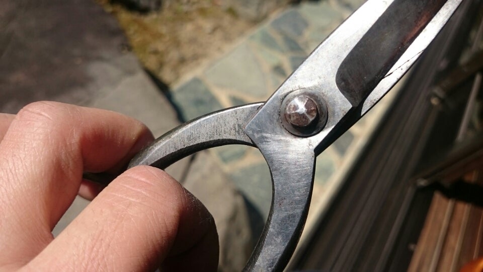 三条 本成寺昇 | 庭師記 ー 庭は師、業は己 ー