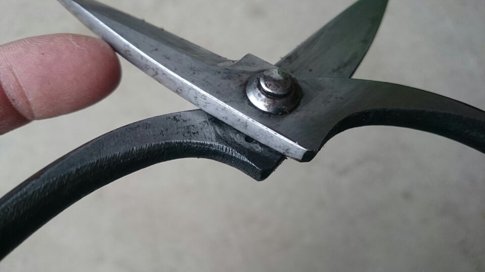 三条 本成寺昇 | 庭師記 ー 庭は師、業は己 ー