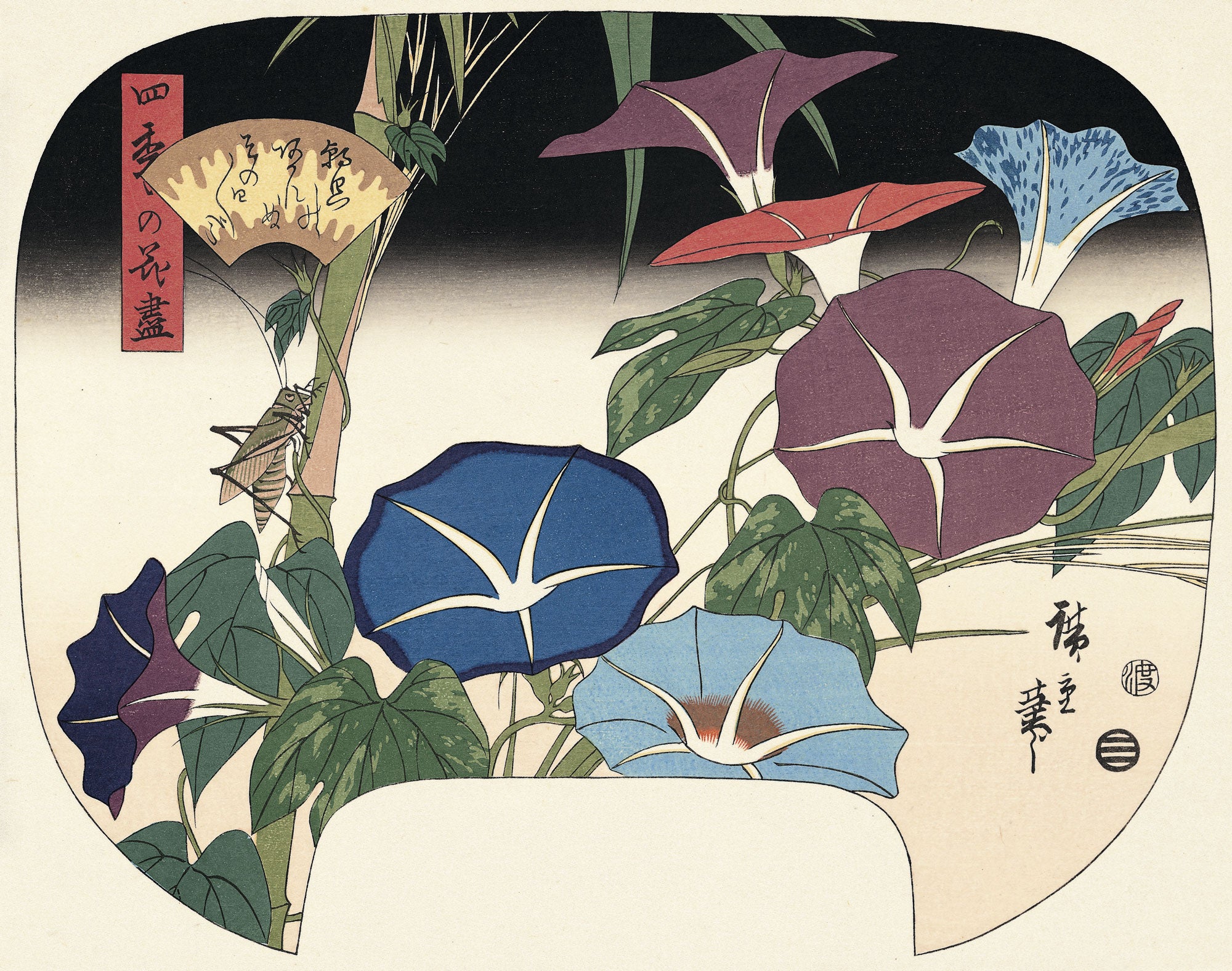 Utagawa Hiroshige（歌川広重） 歌川広重「四季の花尽 朝顔