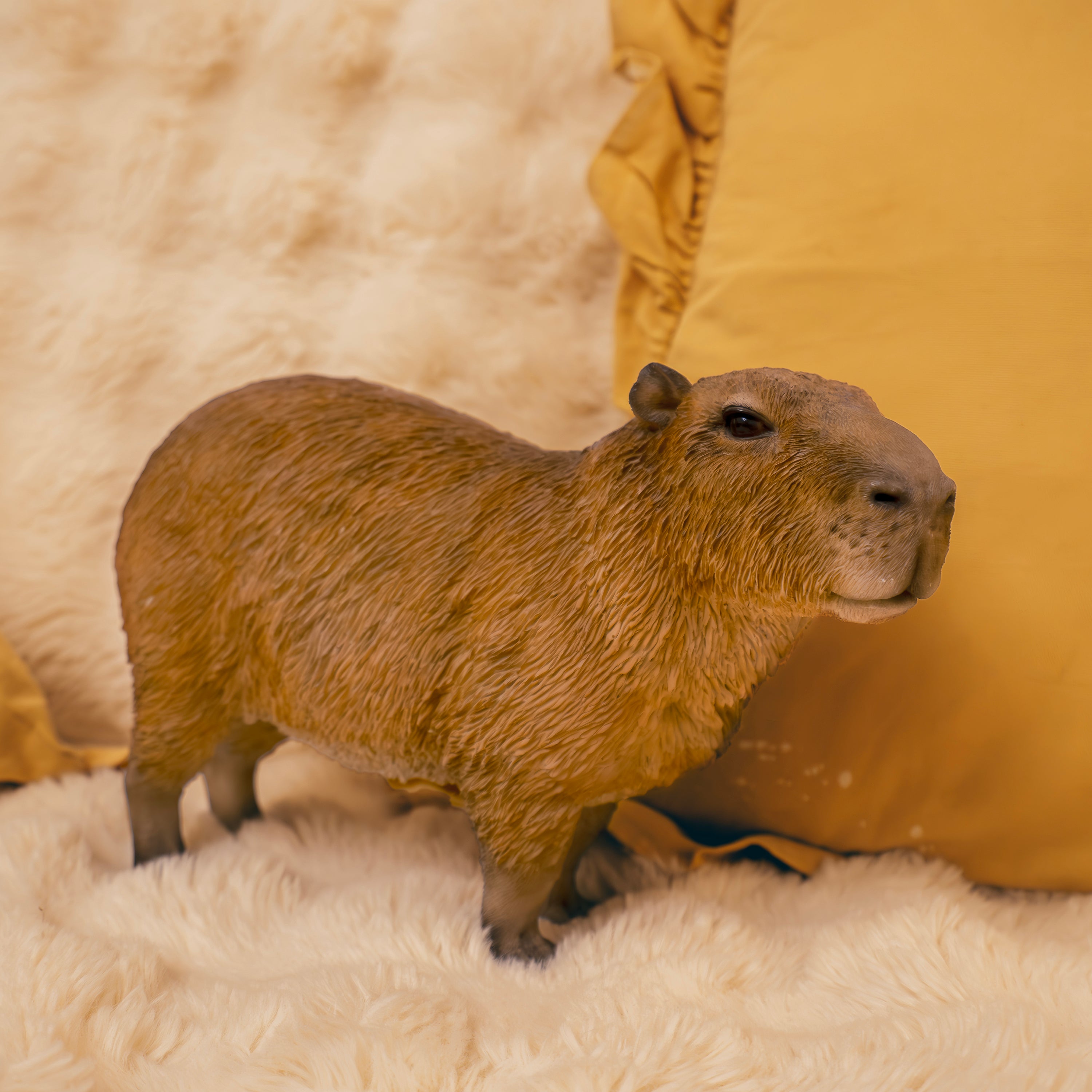 H17437.jpg?v=1731921629