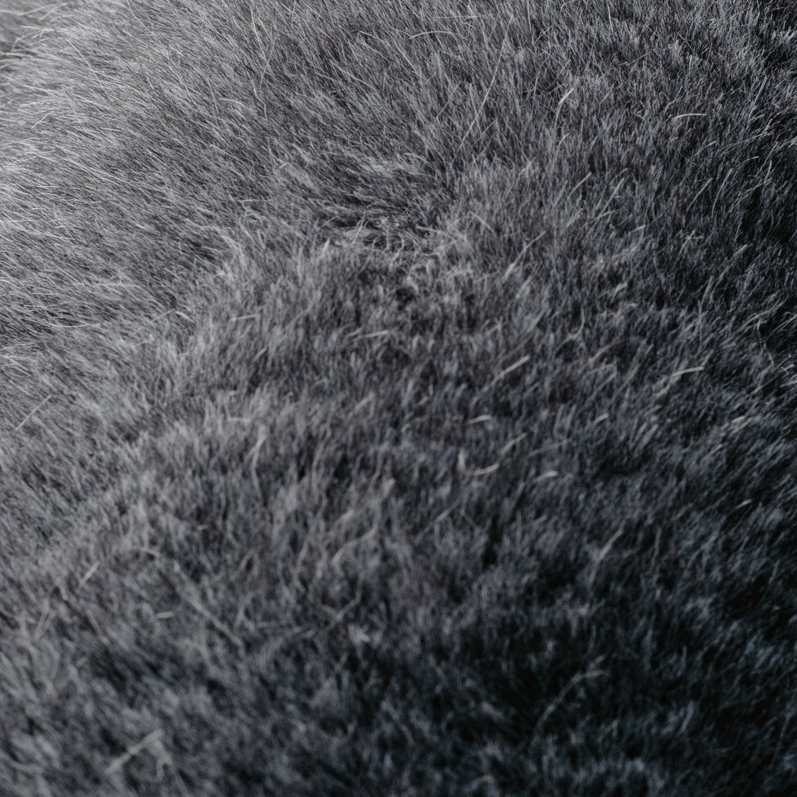 LAX FUR / ラックスファー (LXF-10 ブラック)｜株式会社スミノエ