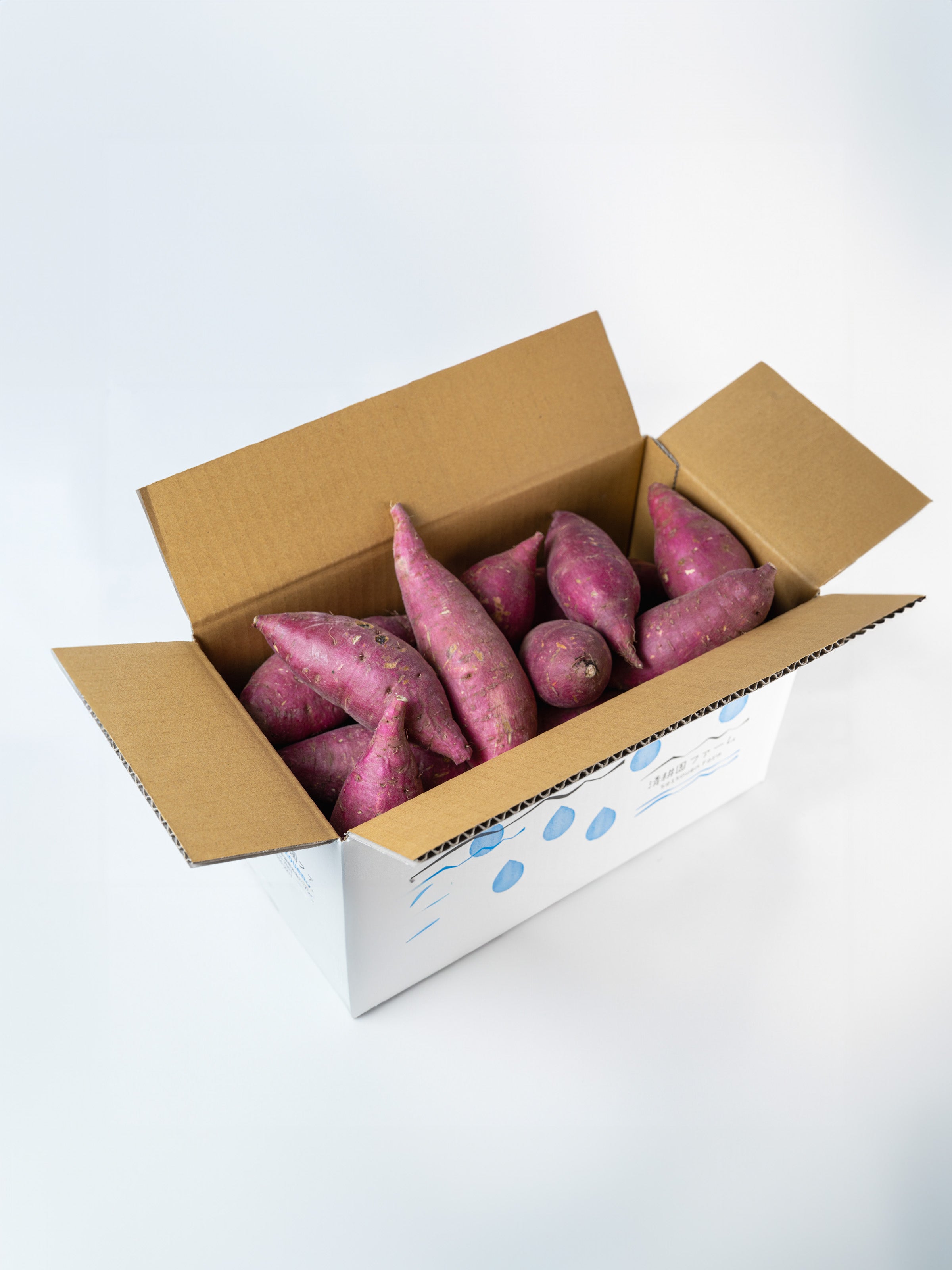 farm Springbo6月20日分茨城県産紅はるかさつまいも苗ウイルスフリー