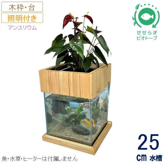 25cm型 せせらぎビオトープ 基本＋木枠・台セット 照明あり【送料無料