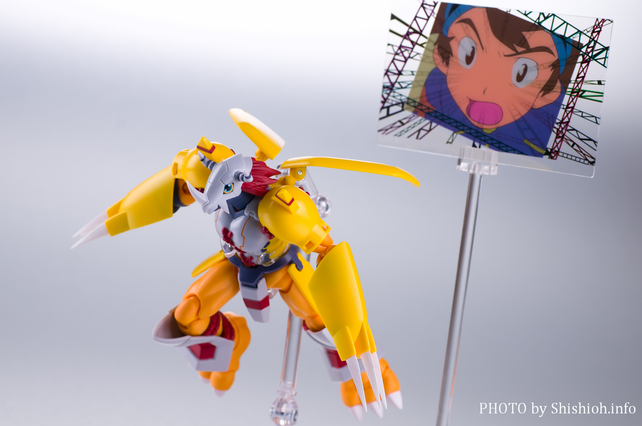 レビュー】 バンダイ 魂ウェブ商店 S.H.Figuarts ウォーグレイモン