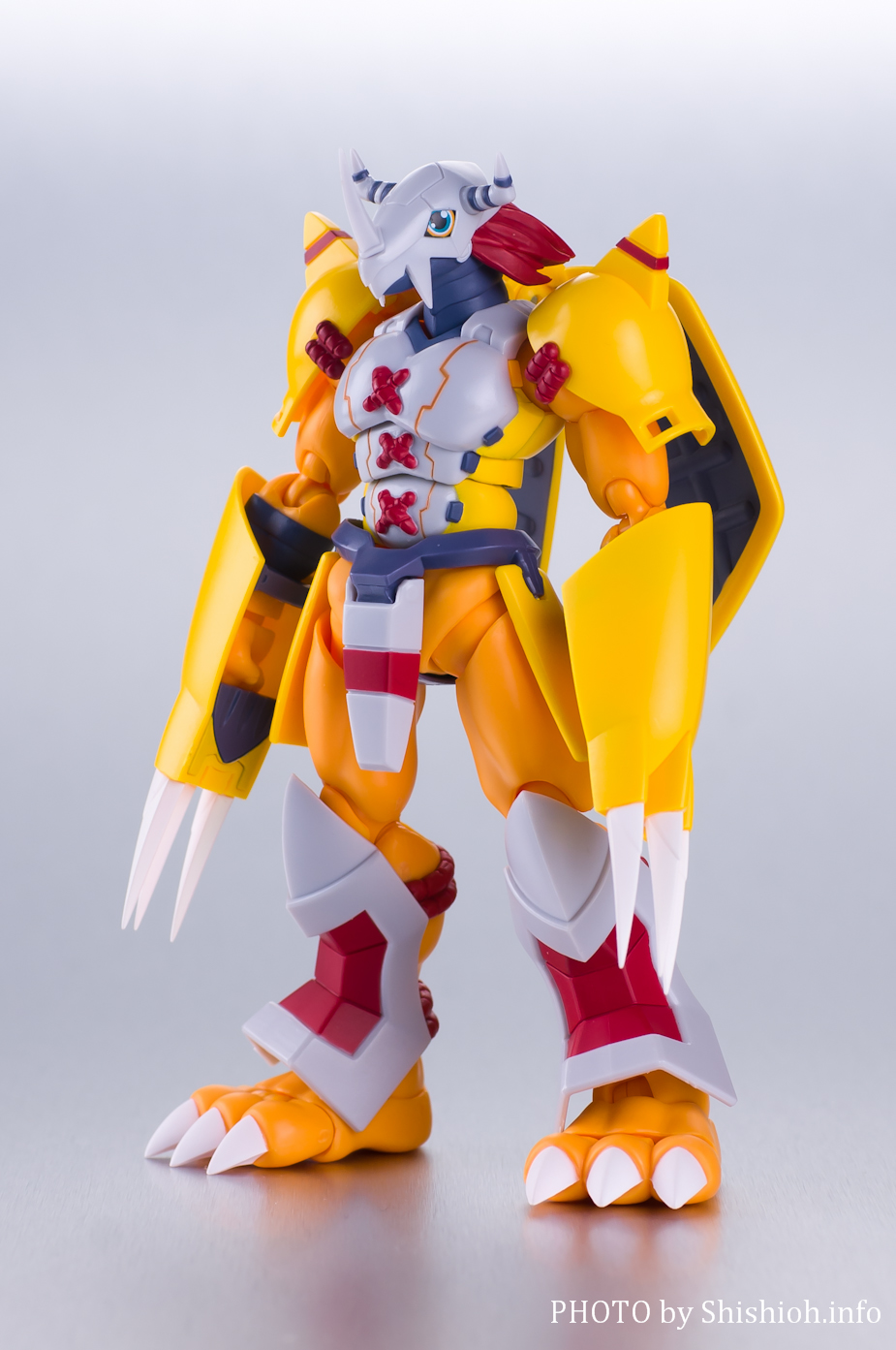 レビュー】 バンダイ 魂ウェブ商店 S.H.Figuarts ウォーグレイモン