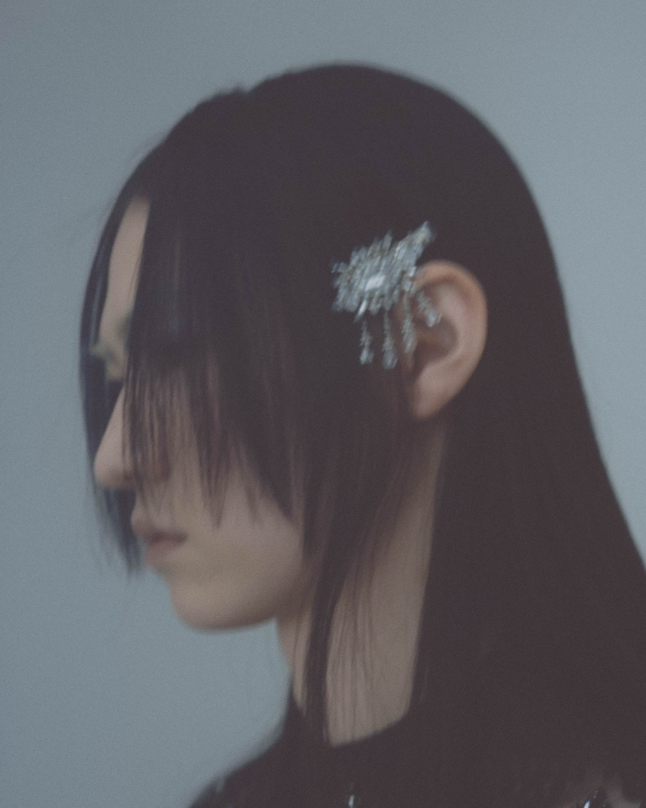 crystal hair clip【Delivery in May 2026】 – tanakadaisuke