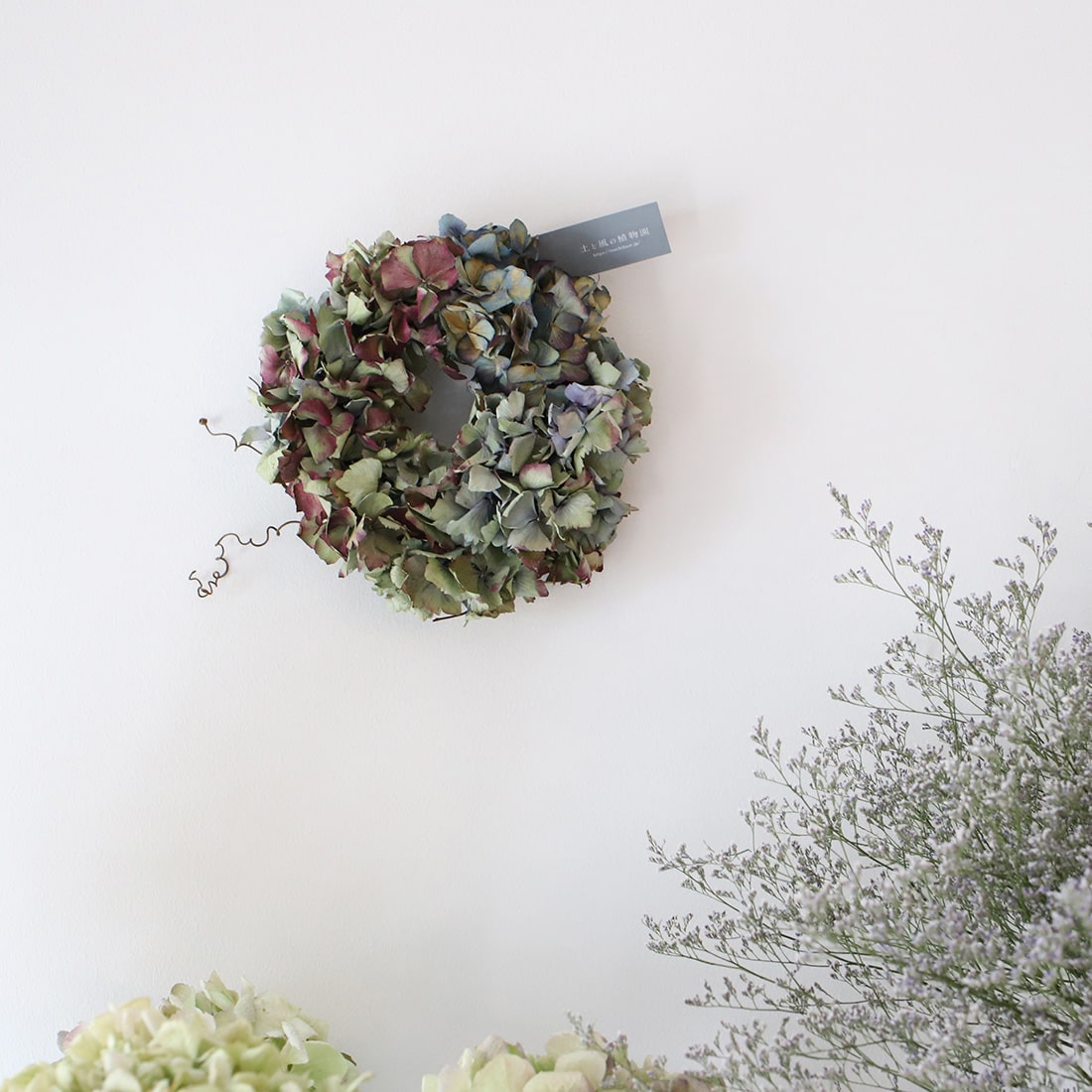 マジックアワー＞紫陽花のミニリース 商品ページ - 土と風の植物園