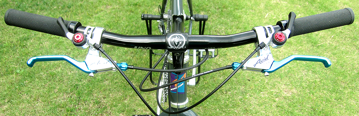 1991 MONGOOSE IBOC TEAM