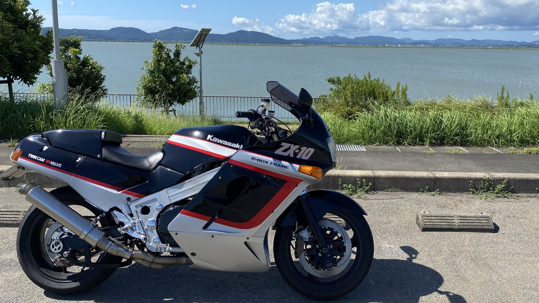 廃盤 レア ZPI NRC001PG レッド 2個セット 廃盤 レア ZPI