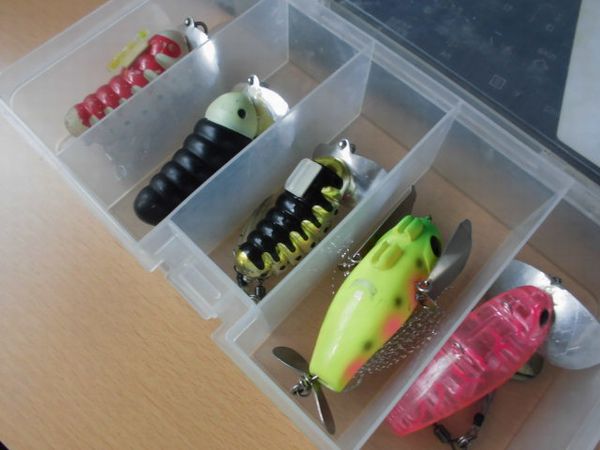 おすすめナマズルアーとインプレ | トップウォータールアーで狙う