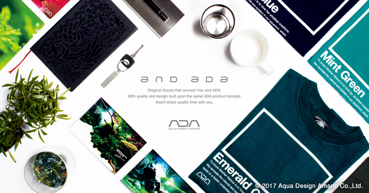 ADA STAINLESS STEEL TRAY ADAステンレストレー | and ADA