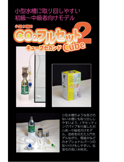 co2 of AInet WEB SITE