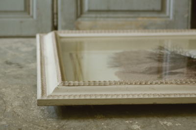 アンティーク標本 貝 珊瑚 海藻 アートフレーム イタリアフィレンツェ