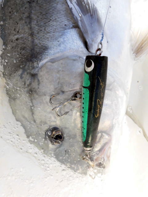 カーペンター ストライク イーグル