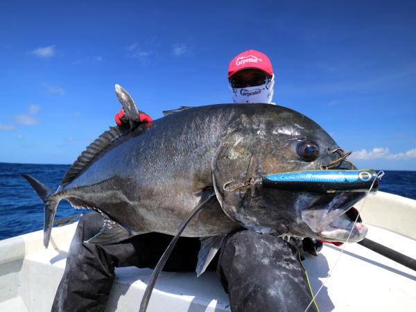 カーペンター ダムセル75-160 Carpenter Damsel 75 Ds 75-160 Narrow