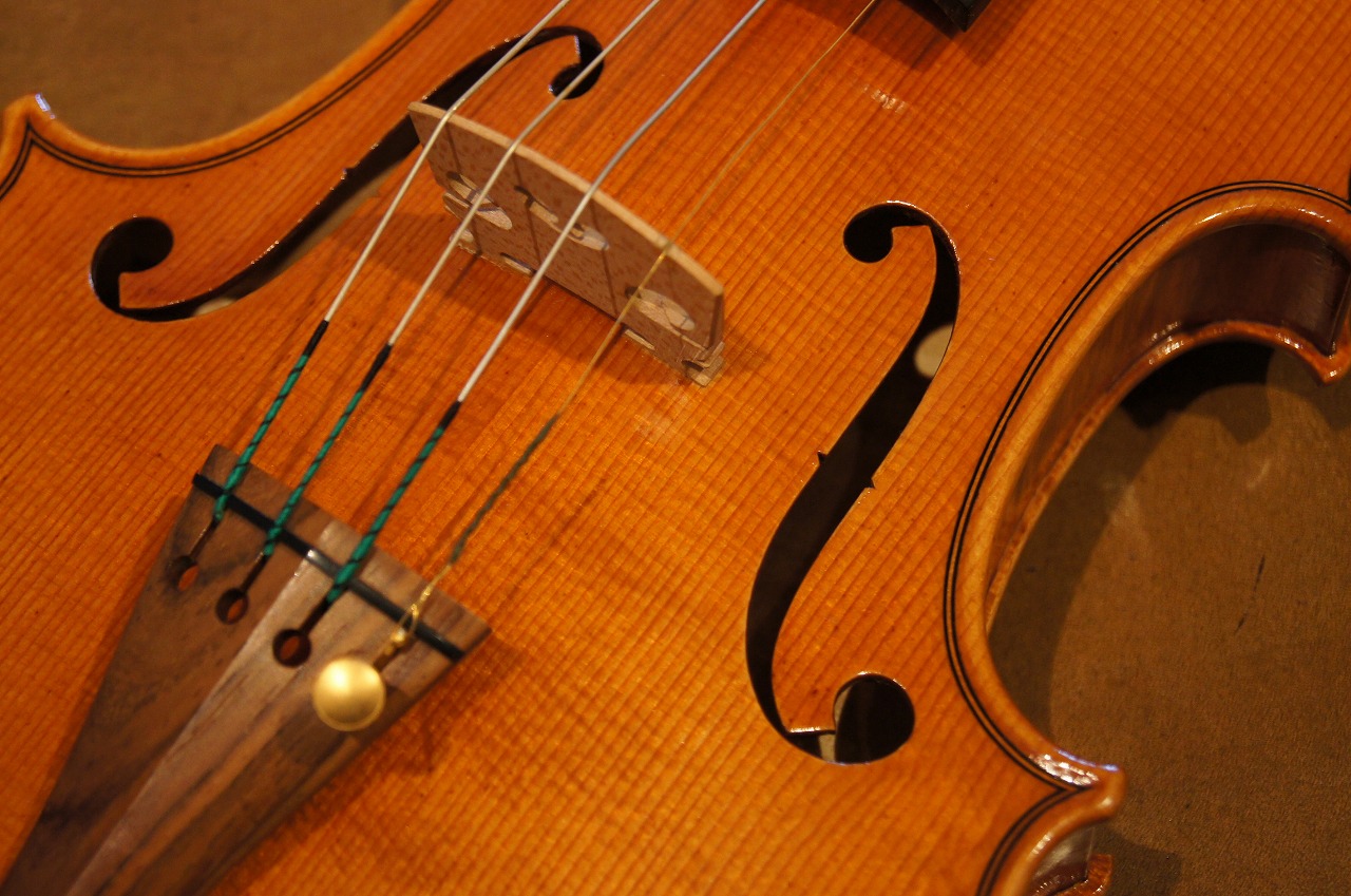 D'Luca V44 2009年製 バイオリン 1/16 D'Luca V44 2009年製 バイオリン