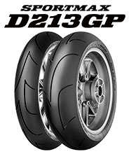 ONLINE TYRE SHOP DL-TYRE/商品詳細 D213GP