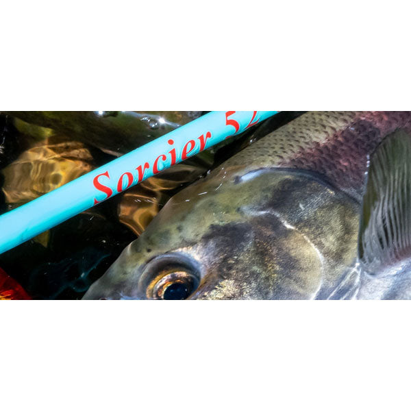 TULALA TRUITE ソルシエ 52UL 大型便 – フィッシングマックス WEBSHOP