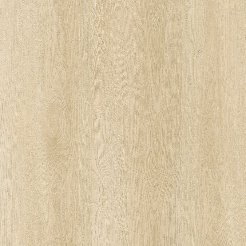 Mohawk SolidTech Amber Escape Akers 9.13