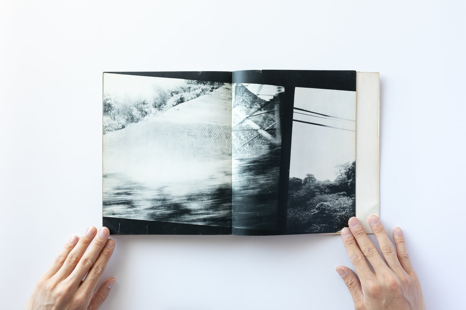 2X6A2238.jpg?v=1769443779