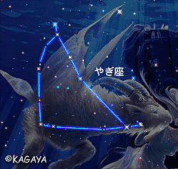 KAGAYA Capricornus