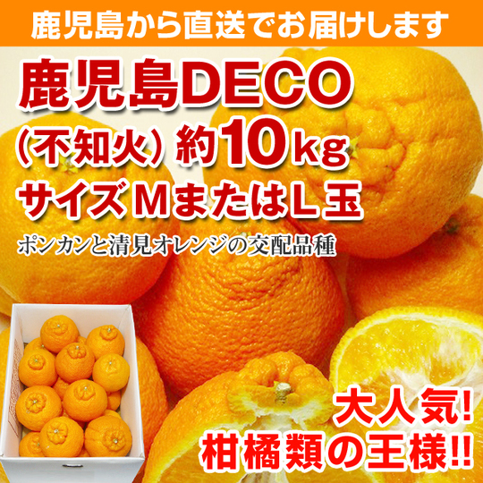 鹿児島DEKO（不知火） 約10K サイズМまたはL玉 商品詳細｜鹿児島 お
